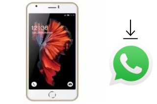 Comment installer WhatsApp dans un L-Max Ester 1