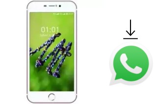 Comment installer WhatsApp dans un L-Max Mega Plus 1