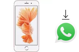 Comment installer WhatsApp dans un L-Max Sapphire 4