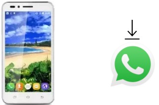 Comment installer WhatsApp dans un Landvo V1