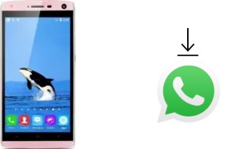 Comment installer WhatsApp dans un Landvo V11