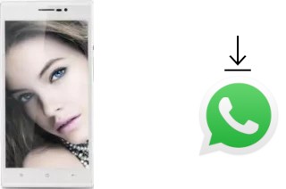 Comment installer WhatsApp dans un Landvo V5