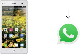 Comment installer WhatsApp dans un Landvo V6