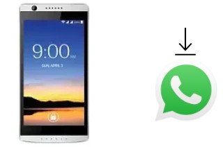 Comment installer WhatsApp dans un Lava A56