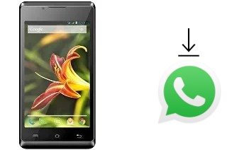 Comment installer WhatsApp dans un Lava Iris 401