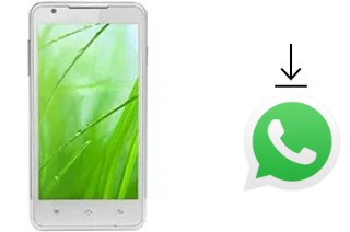 Comment installer WhatsApp dans un Lava Iris 503e