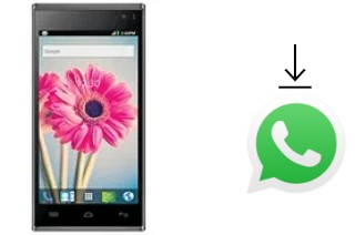 Comment installer WhatsApp dans un Lava Iris 504q+