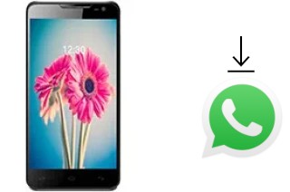 Comment installer WhatsApp dans un Lava Iris 504q