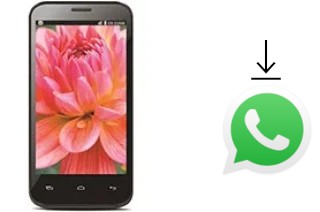 Comment installer WhatsApp dans un Lava Iris 505