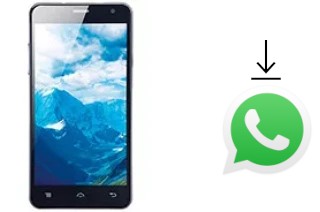 Comment installer WhatsApp dans un Lava Iris 550Q