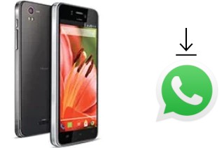 Comment installer WhatsApp dans un Lava Iris Pro 30