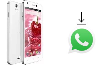 Comment installer WhatsApp dans un Lava Iris X1 Grand