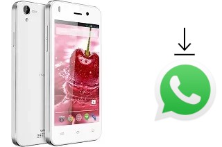 Comment installer WhatsApp dans un Lava Iris X1 mini