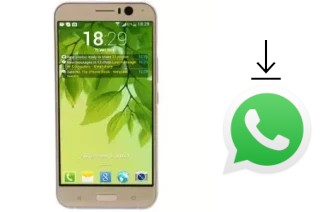 Comment installer WhatsApp dans un Leader Mars 5