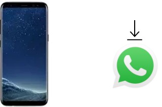 Comment installer WhatsApp dans un Leagoo S8