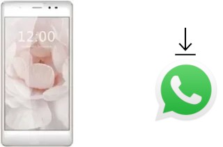 Comment installer WhatsApp dans un Leagoo T1