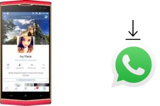 Comment installer WhatsApp dans un Leagoo Venture 1