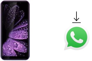 Comment installer WhatsApp dans un Leagoo Z10