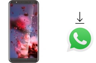 Comment installer WhatsApp dans un Leagoo Z15