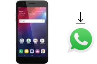 Comment installer WhatsApp dans un LG Harmony 2