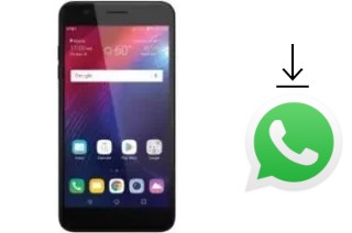 Comment installer WhatsApp dans un LG Phoenix Plus