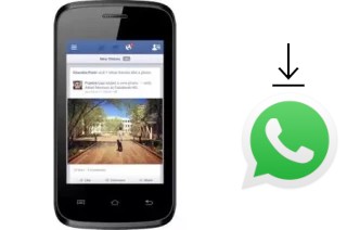 Comment installer WhatsApp dans un Magicon M3 Atom