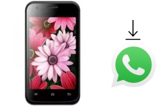 Comment installer WhatsApp dans un Magicon M39 Savvy