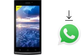 Comment installer WhatsApp dans un Majestic Zefiro 38