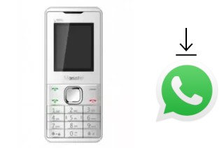 Comment installer WhatsApp dans un Masstel C105I