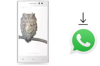 Comment installer WhatsApp dans un Maximus iX Kane