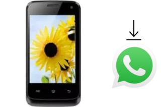 Comment installer WhatsApp dans un Maximus max12