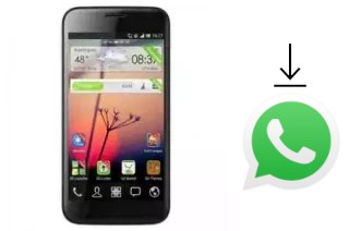 Comment installer WhatsApp dans un Maxtron Diamond