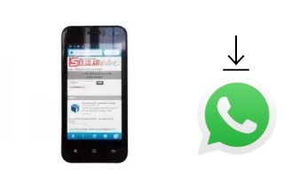 Comment installer WhatsApp dans un Maxtron Venus