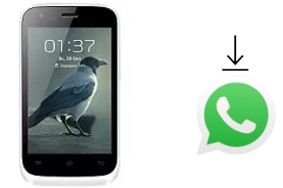 Comment installer WhatsApp dans un Micromax Bolt A62