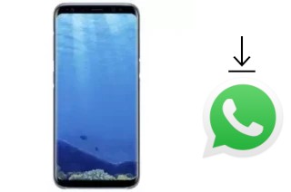 Comment installer WhatsApp dans un Mione Mix 9 Pro