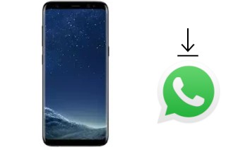 Comment installer WhatsApp dans un Mione Mix 9