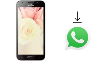 Comment installer WhatsApp dans un Mobiola MS50A4000