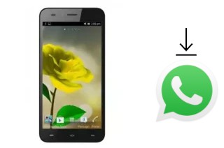 Comment installer WhatsApp dans un Mobiola MS50A5000