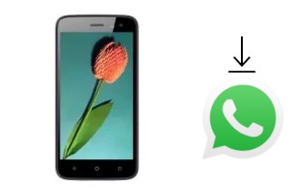 Comment installer WhatsApp dans un Mobiola Wave 5