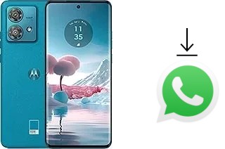 Comment installer WhatsApp dans un Motorola Edge 40 Neo