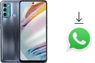 Comment installer WhatsApp dans un Motorola Moto G60