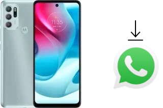 Comment installer WhatsApp dans un Motorola Moto G60S