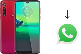 Comment installer WhatsApp dans un Motorola Moto G8 Play