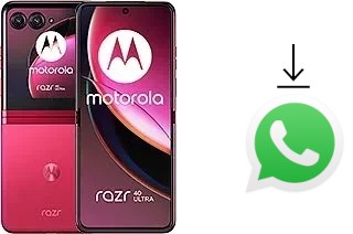 Comment installer WhatsApp dans un Motorola Razr 40 Ultra