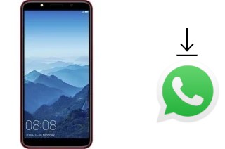 Comment installer WhatsApp dans un Movic F6003