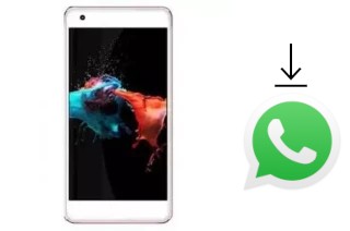 Comment installer WhatsApp dans un MTO MK394