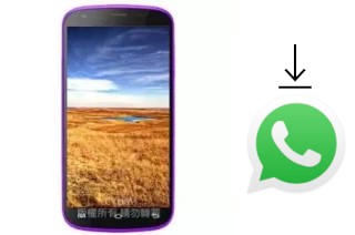 Comment installer WhatsApp dans un MTO MK399