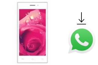 Comment installer WhatsApp dans un MXNEC S903 Upgrade