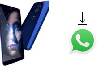 Comment installer WhatsApp dans un MyPhone Prime 18x9 LTE