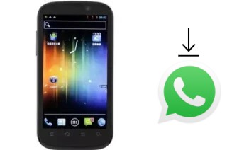 Comment installer WhatsApp dans un Newman N1